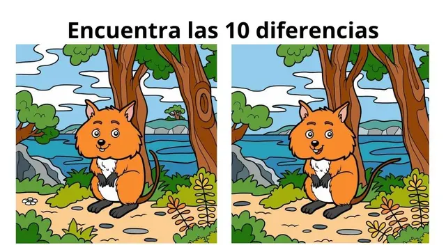 Activa tus habilidades visuales y da con la respuesta en tiempo récord.