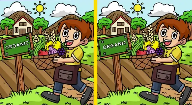 Solo tienes una oportunidad para desarrollar este nuevo reto visual.