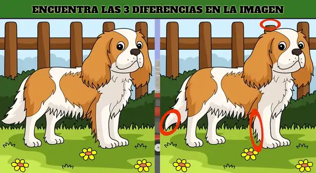Reto visual Reto visual
