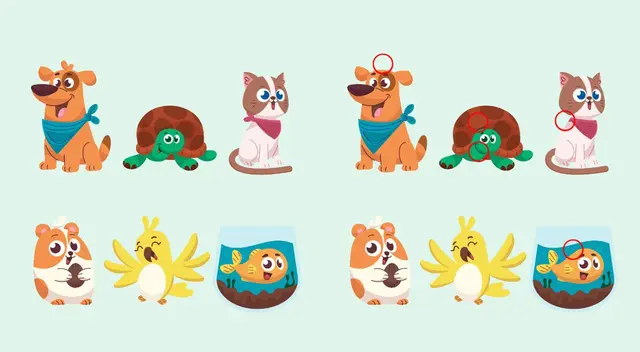 reto visual reto visual