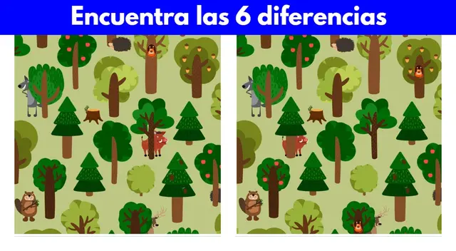 Reto visual EXTREMO en el bosque Reto visual EXTREMO en el bosque