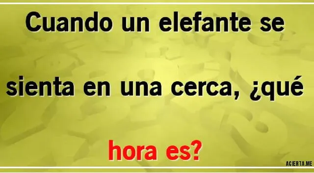 Acertijo visual