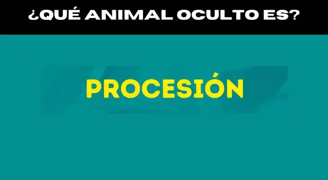 Encuentra el animal oculto entre las diversas letras.