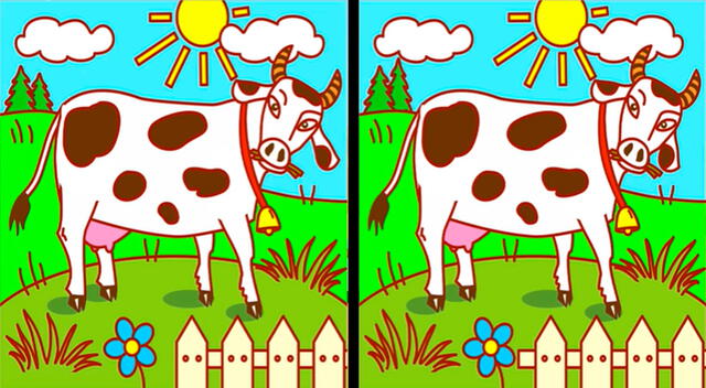 Desarrolla este reto visual y comprueba en poco tiempo que eres un 'genio'.