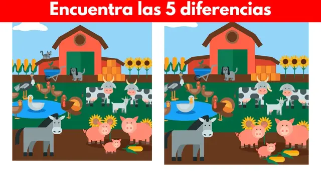 reto visual para mentes BRILLANTES reto visual para mentes BRILLANTES