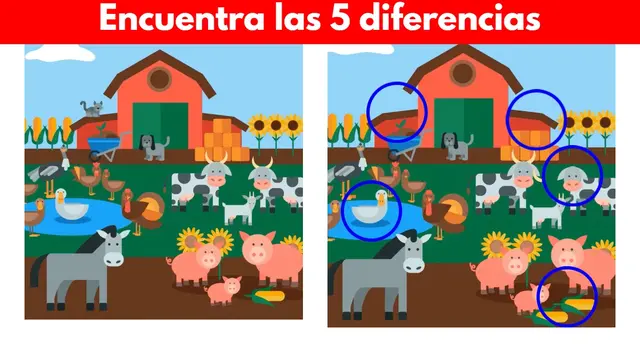 Reto visual Reto visual