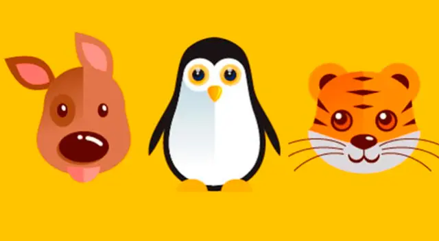 Escoge un animal para conocer más sobre tu test de personalidad.