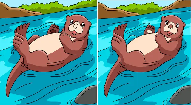 ¿Serás capaz de encontrar todas las diferencias en cuestión de pocos segundos?