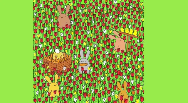 Tu objetivo será encontrar este huevo entre las flores y conejos. Tu objetivo será encontrar este huevo entre las flores y conejos.