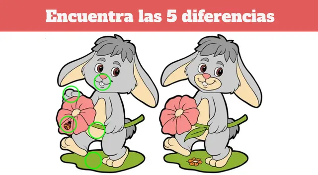 RETOS VISUALES