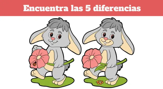 RETOS VISUALES
