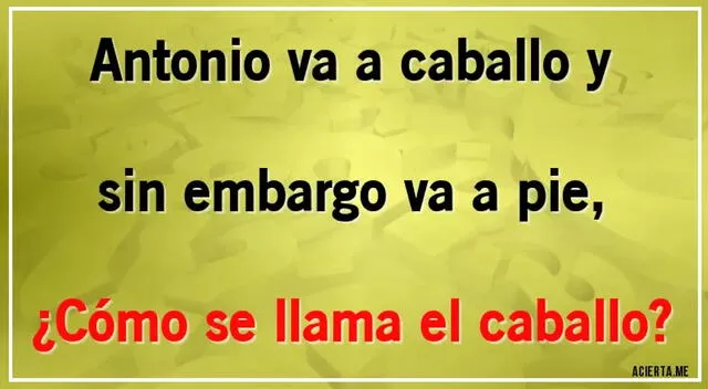 acertijo visual