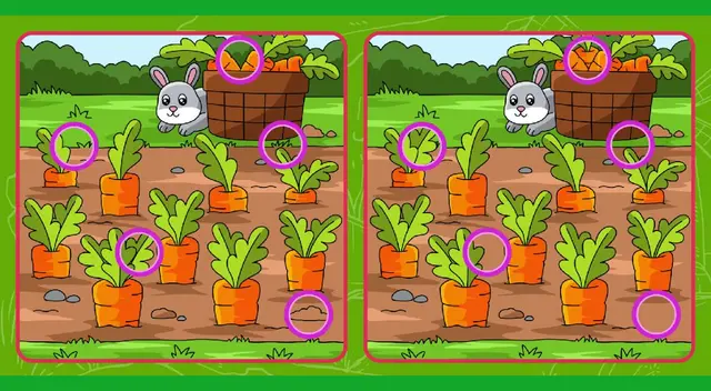 reto visual reto visual