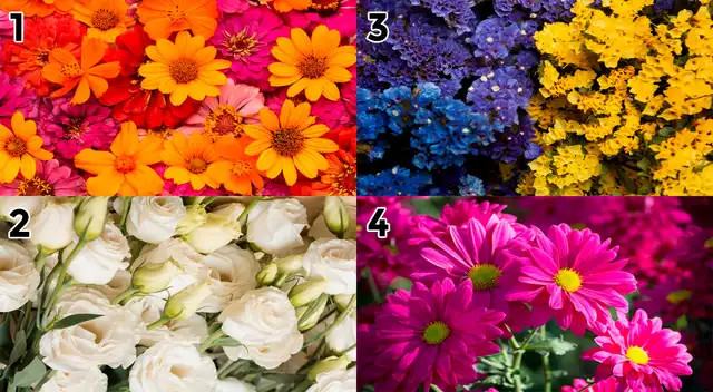 Las flores que más te gusten de este test visual revelará un gran mensaje para ti.