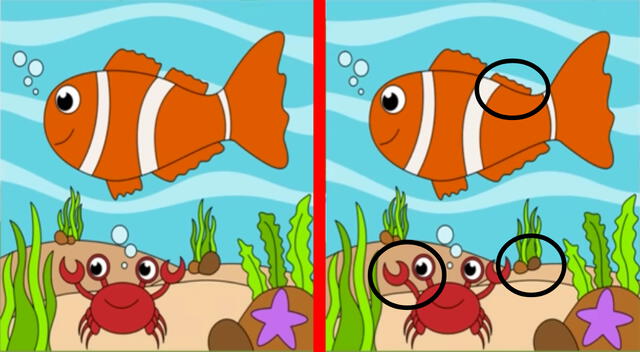 reto visual