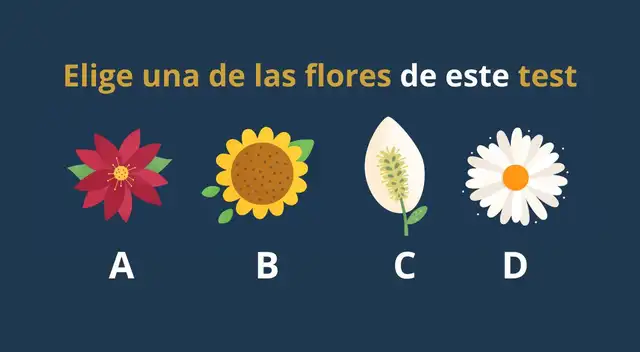 Si no la estás pasando muy bien, tienes que hacer este test de personalidad.