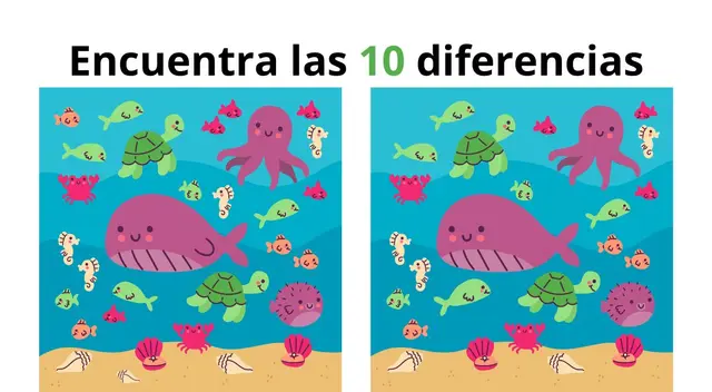 Ponte los lentes para ver bajo el agua y sumérgete en este desafío visual. Ponte los lentes para ver bajo el agua y sumérgete en este desafío visual.