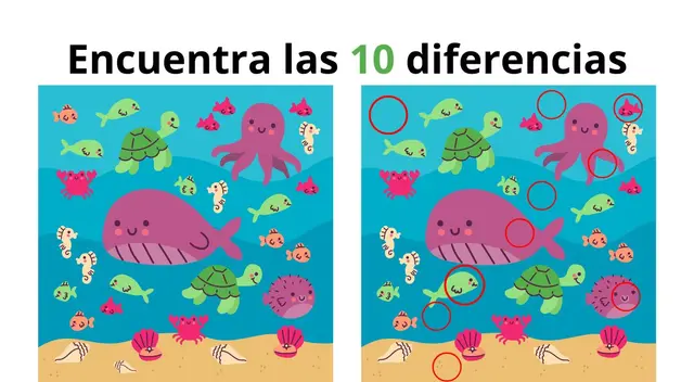 reto visual reto visual