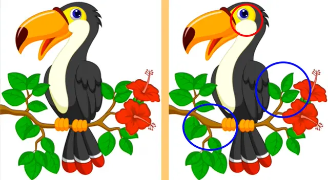 reto visual reto visual