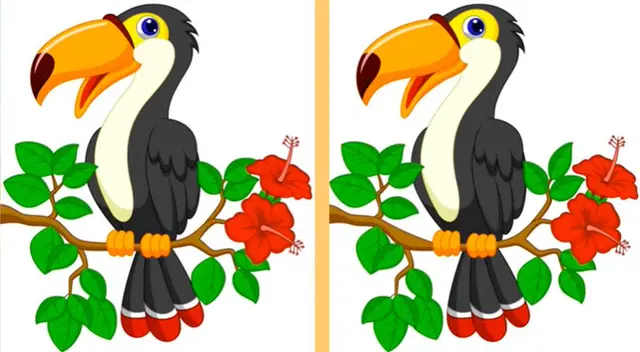 Solo cuentas con una oportunidad para desarrollar este nuevo reto visual. Solo cuentas con una oportunidad para desarrollar este nuevo reto visual.