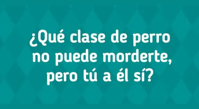 De descubrirlo, serás parte del pequeño porcentaje de victoriosos. De descubrirlo, serás parte del pequeño porcentaje de victoriosos.