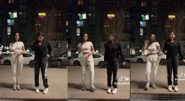 La señorita procedente de Argelia no mostró buenas habilidades para el baile. La señorita procedente de Argelia no mostró buenas habilidades para el baile.