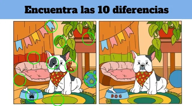retos visuales