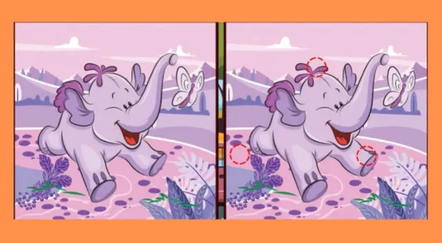 Retos visuales Retos visuales