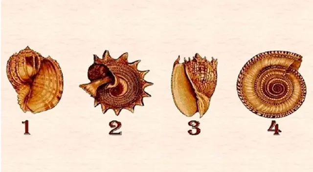 Conoce más sobre ti escogiendo un caracol en este nuevo test. Conoce más sobre ti escogiendo un caracol en este nuevo test.