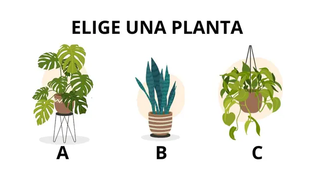 test de personalidad