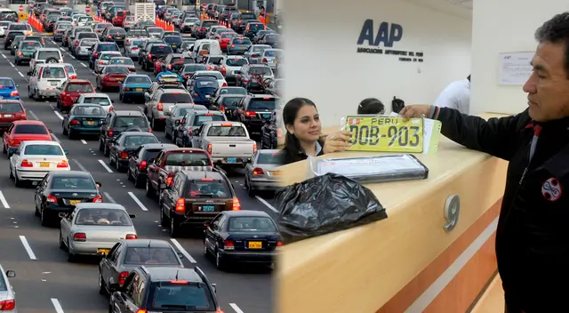 Conoce qué color de placa debe tener tu vehículo según su tipo.