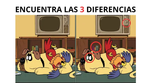 reto visual reto visual