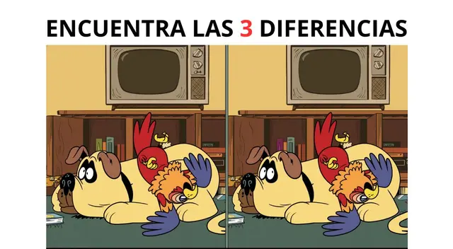 ¿Tendrás las capacidades para encontrar las desigualdades? ¿Tendrás las capacidades para encontrar las desigualdades?