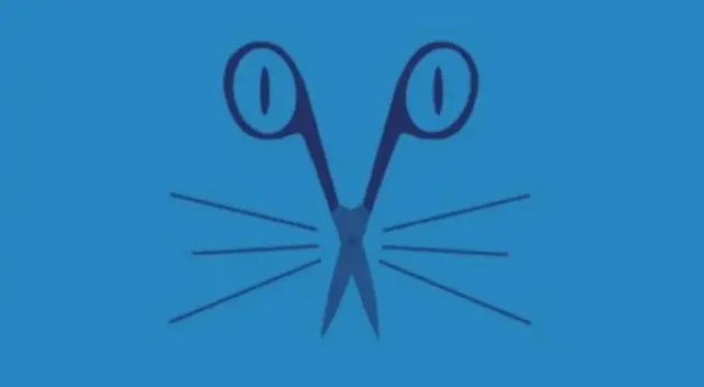 ¿Qué figura llegas a distinguir? ¿Qué figura llegas a distinguir?