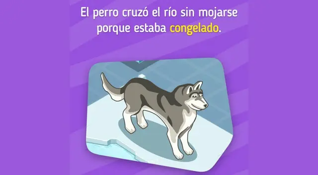 acertijo visual