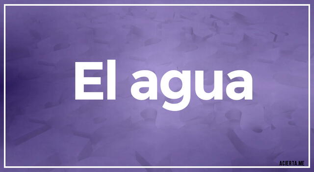 acertijo visual