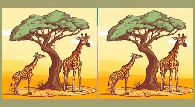 Solo los excelentes observadores tienen éxito en esta prueba visual