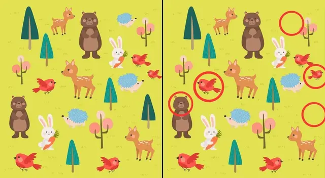 reto visual reto visual