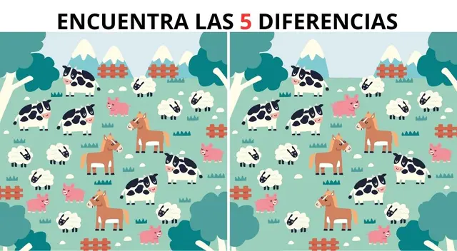 ¿Podrás lograrlo antes de que se acabe el tiempo?