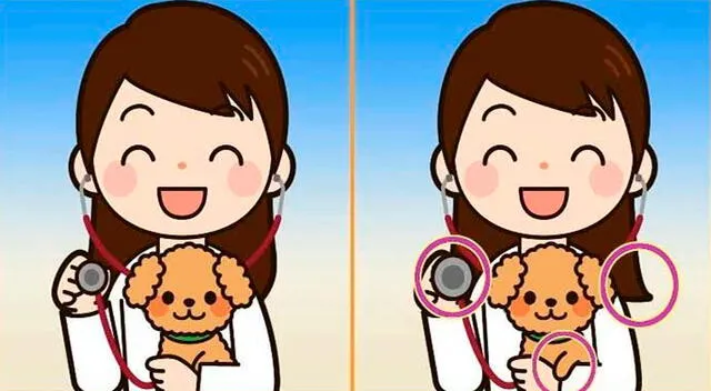 solución reto visual