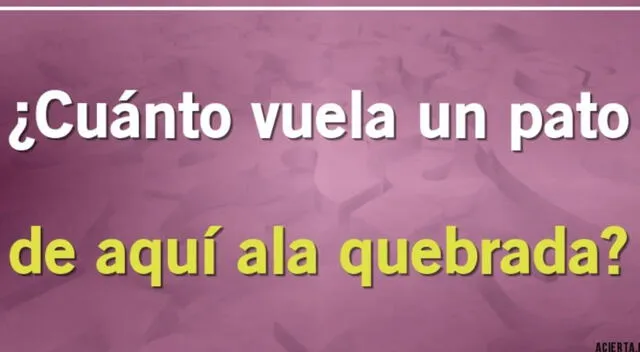 Acertijo visual