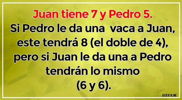 acertijo visual
