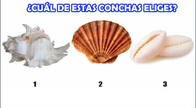 Tu elección será clave para conocer cuáles son tus peores defectos. Tu elección será clave para conocer cuáles son tus peores defectos.