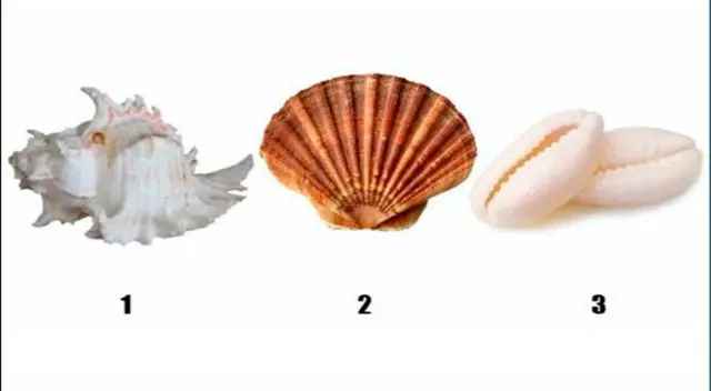 test de personalidad test de personalidad