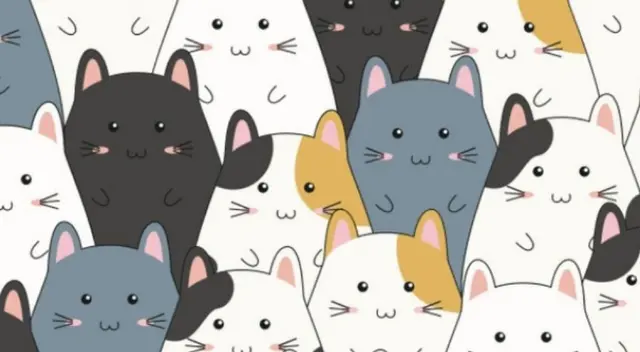 Tu trabajo será encontrar al gatito.