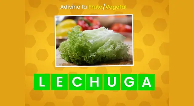 acertijo visual acertijo visual