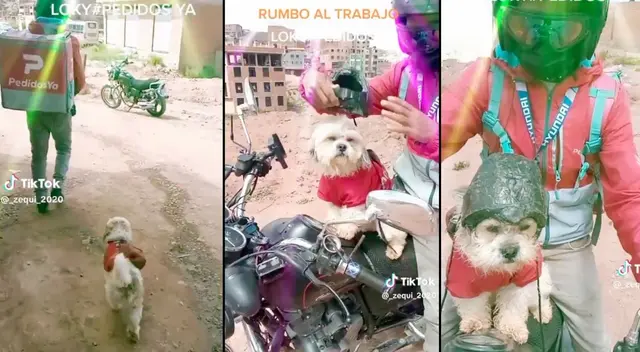 Mascota también se vio afectada por la economía, así que decidió salir y ayudar a su mejor amigo.