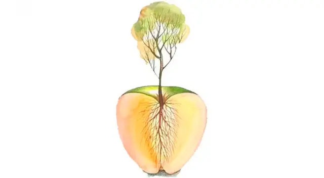 ¿Qué figura viste primero? Según tu elección, conocerás quién desea romper ese vínculo de amistad contigo.