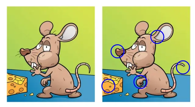 respuesta del reto visual