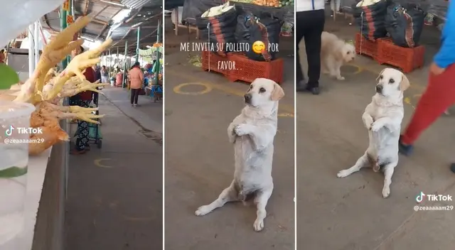 Video se hizo viral rápidamente. ¿Qué hubieses hecho si te lo pedía a ti?